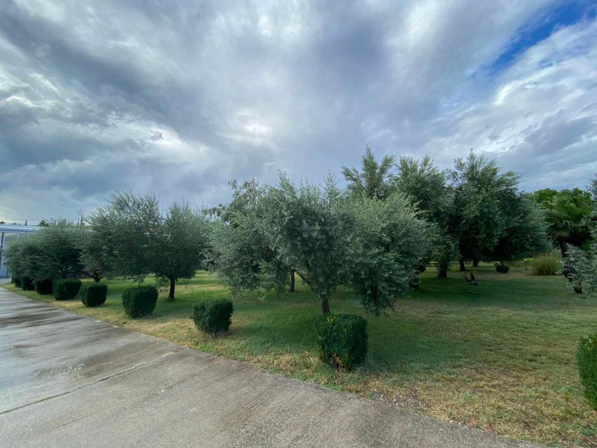 Olive Apartment Podgorica Buitenkant foto