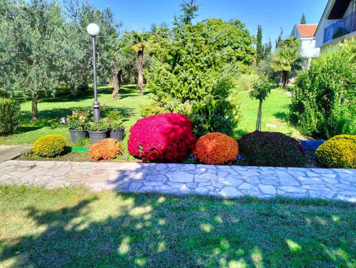 Olive Apartment Podgorica Buitenkant foto