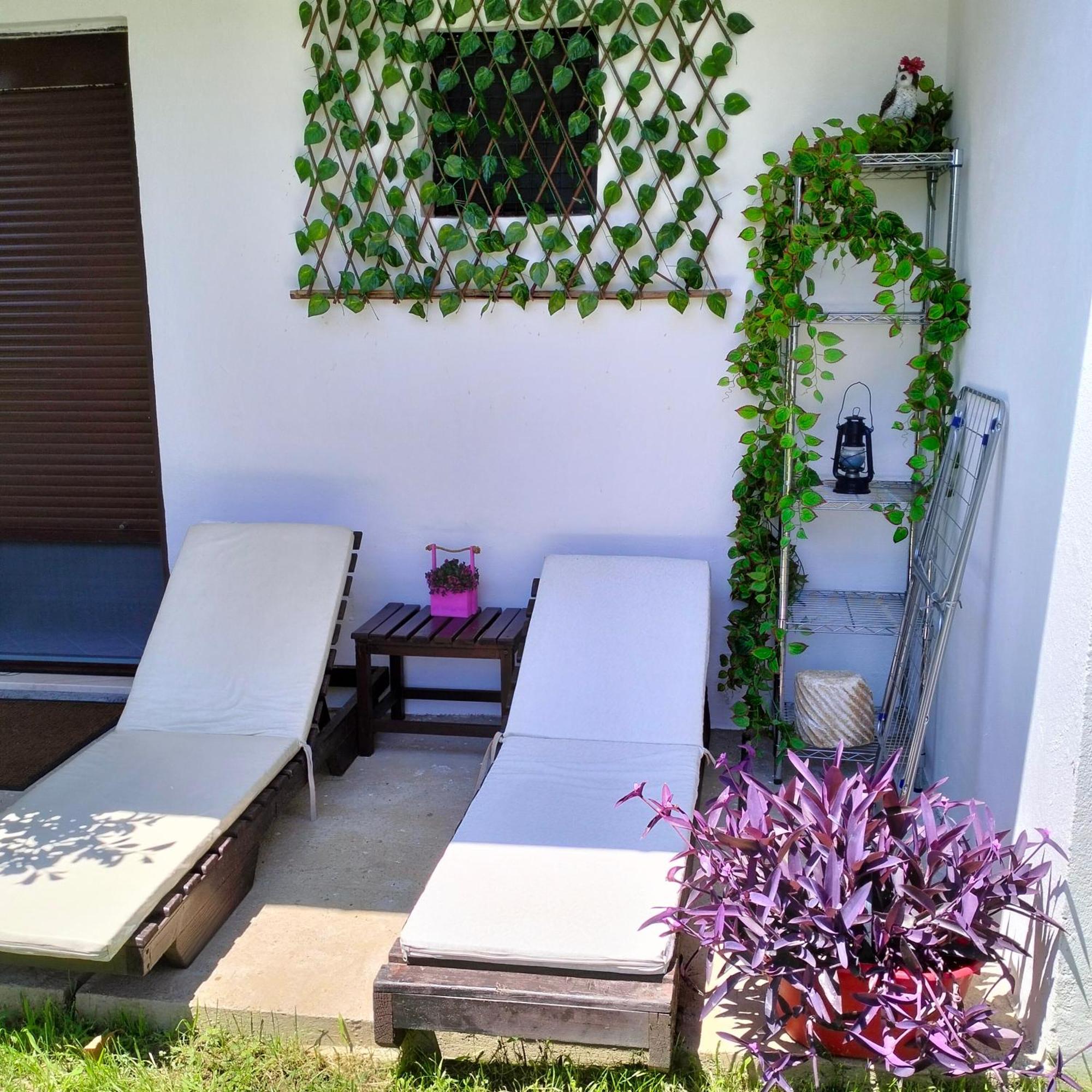 Olive Apartment Podgorica Buitenkant foto