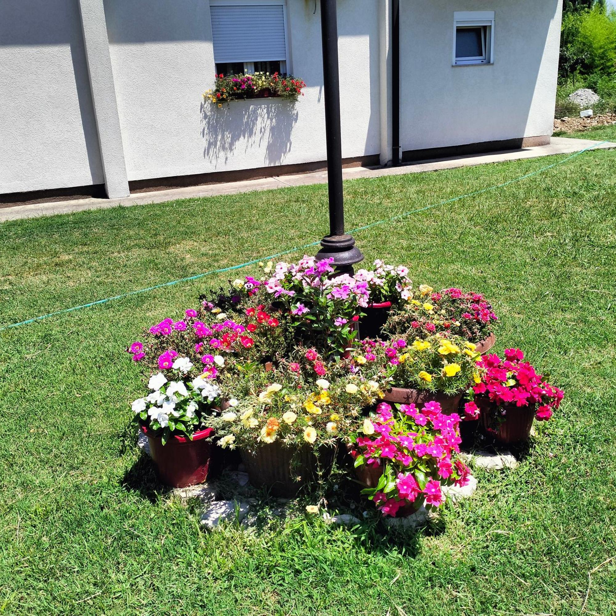 Olive Apartment Podgorica Buitenkant foto