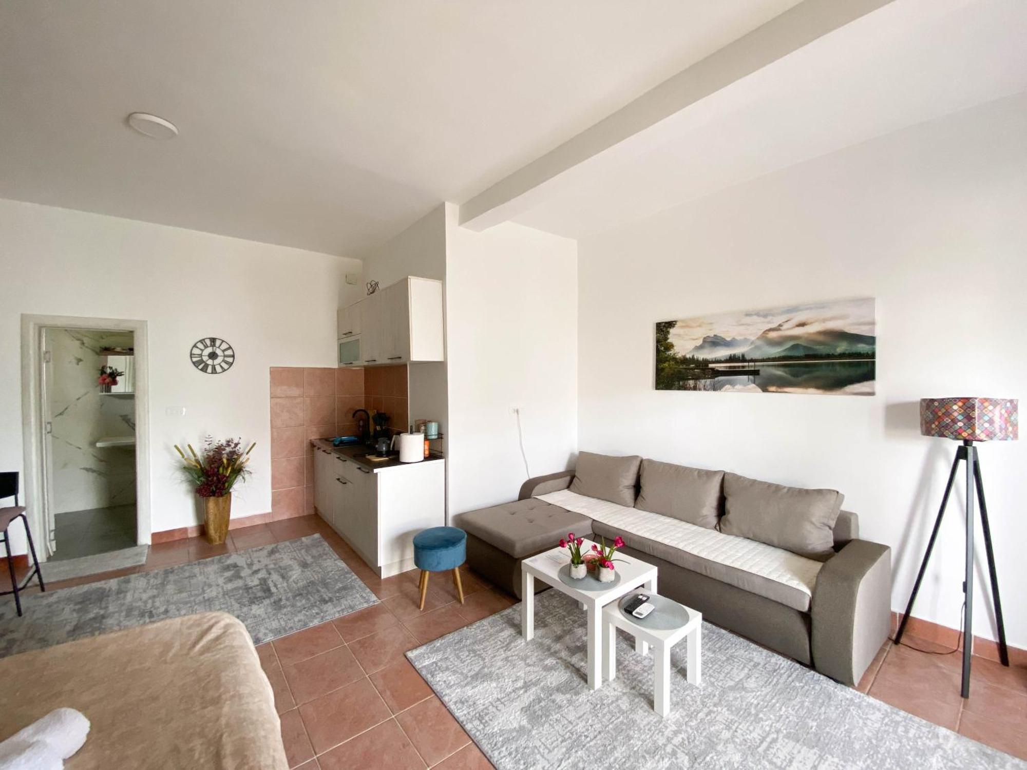 Olive Apartment Podgorica Buitenkant foto
